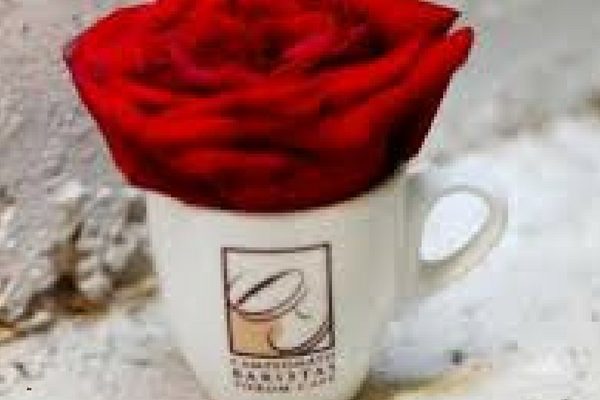 Campeonato Barista 2013